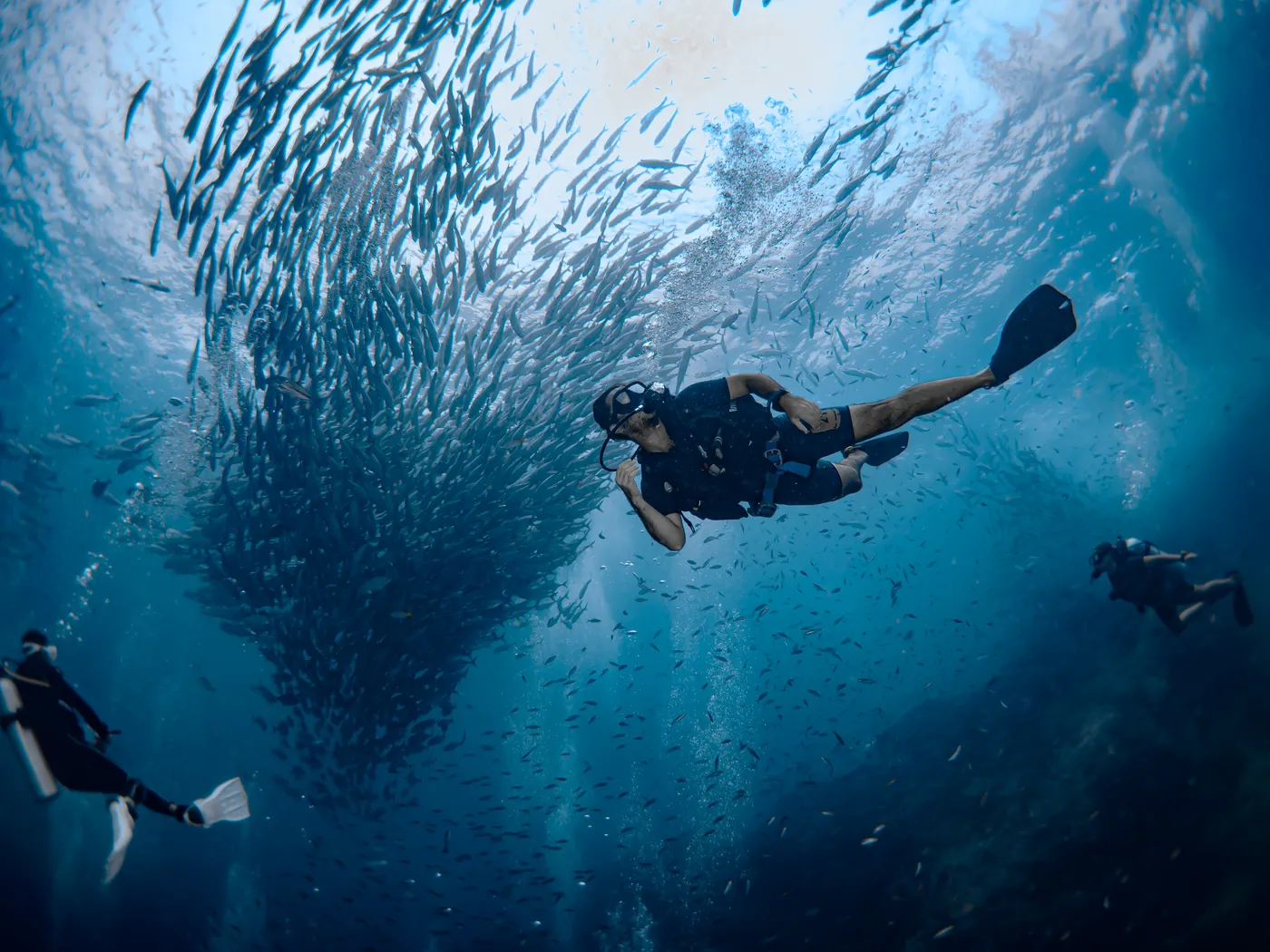 Divers hanging beneath a huge school of fish, sunlight breaking through the surface above