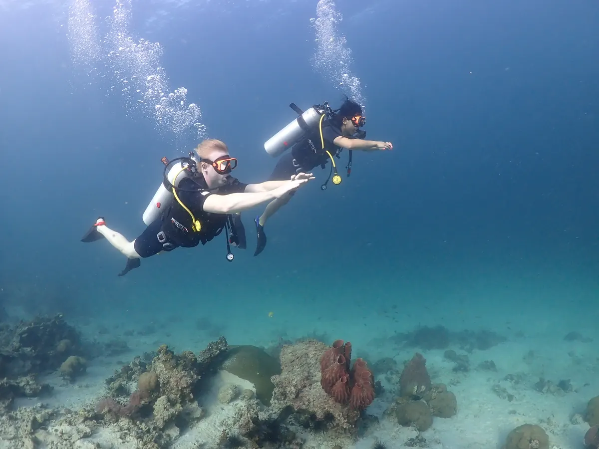 Buceadores avanzados explorando el arrecife