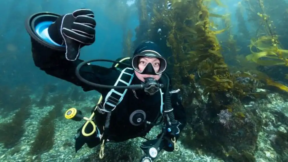 A diver underwater signalling up and down with a closed fist and extended thumb