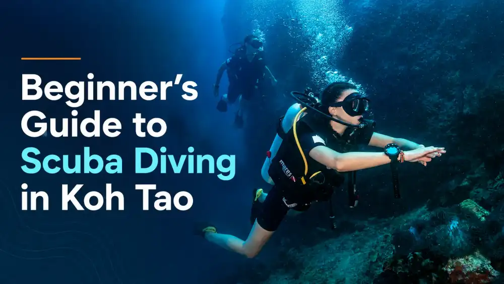 A beginner diver descending with an instructor over a shallow coral reef in the clear water off Koh Tao