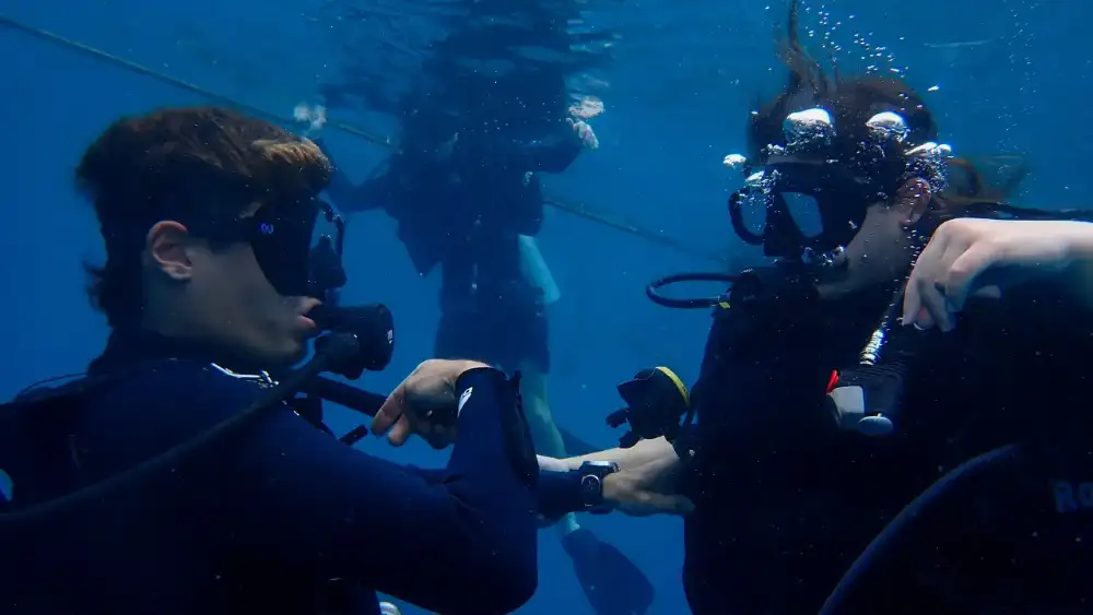 Scuba divers descending over a coral reef off Koh Tao, with sunlight filtering through the blue water above