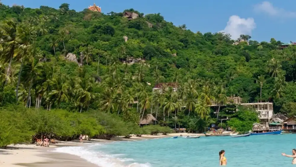 Shark Bay (Haad Tien) on Koh Tao's southeast coast, a small protected cove with clear water where turtles and blacktip reef sharks are seen