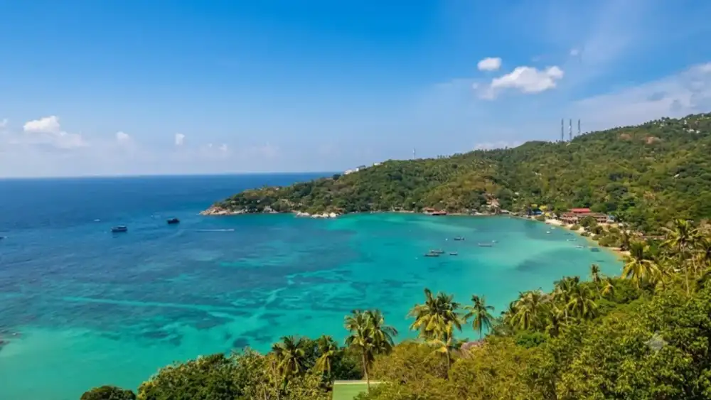 Freedom Beach, a small crescent of white sand shaded by low trees at the southern tip of Koh Tao