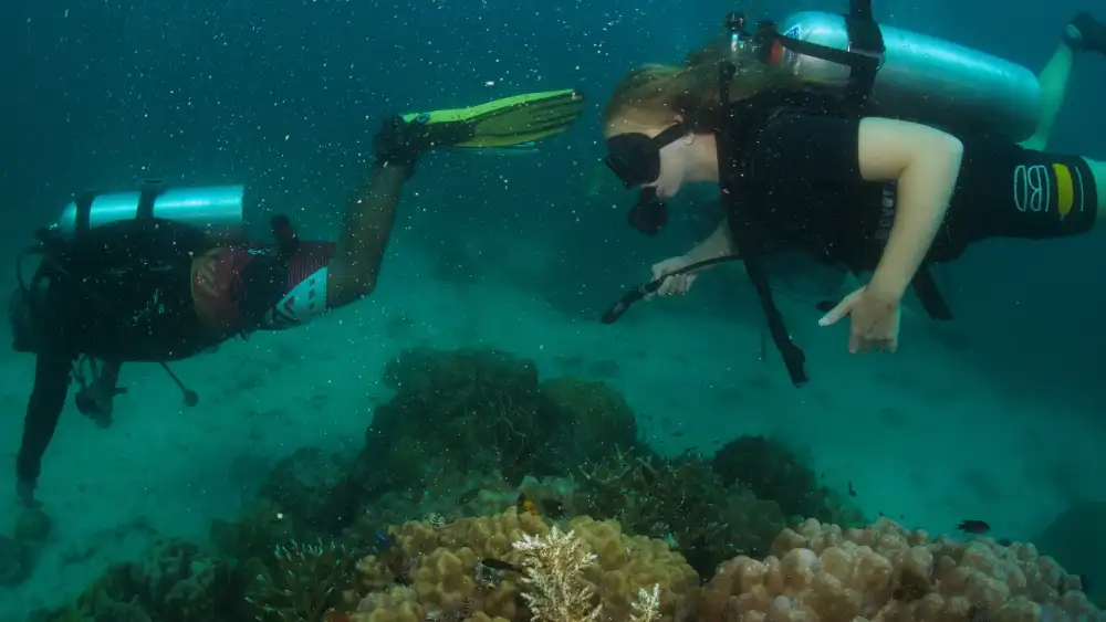 Two divers hovering over a coral reef in Koh Tao, one pointing out something on the reef