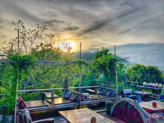 The hilltop terrace of Natural High Cafe near Shark Bay, with its rustic wooden seating and a sweeping view over Koh Tao and the sea