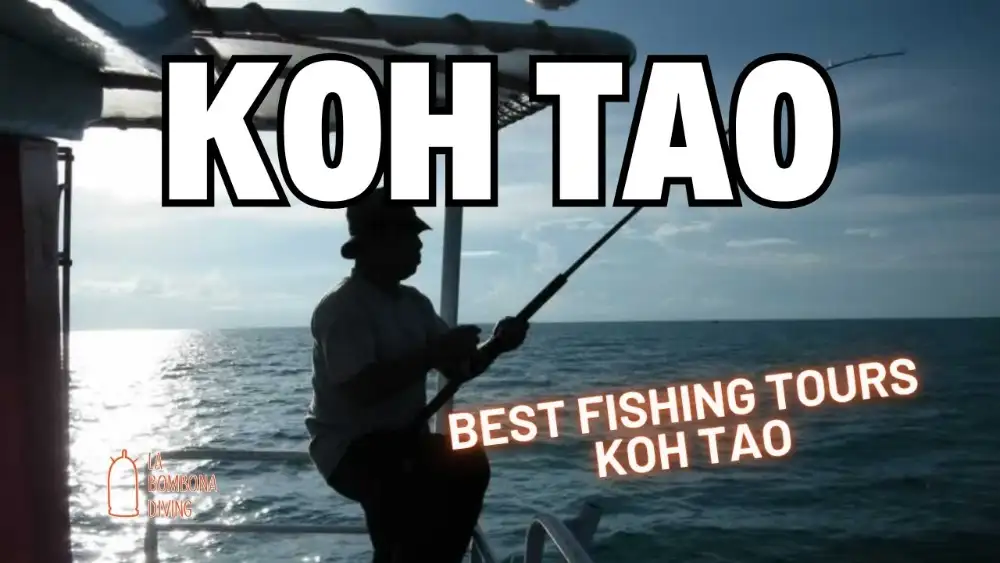 Silhouette of an angler casting a rod from the deck of a boat off Koh Tao, sunlight glinting on the sea, with the words "Koh Tao — Best Fishing Tours Koh Tao" overlaid