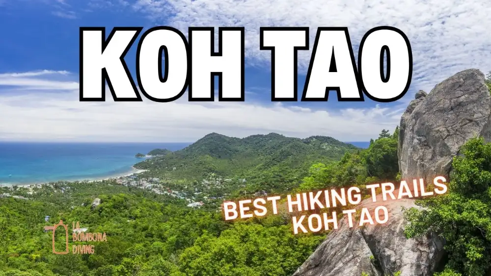 View from a rocky viewpoint on Koh Tao over jungle-covered hills and two turquoise bays