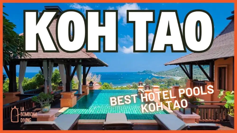 A green-tiled infinity pool between two Thai-style pavilions overlooking Sairee Beach and the sea on Koh Tao, with the caption "Koh Tao — Best Hotel Pools Koh Tao"