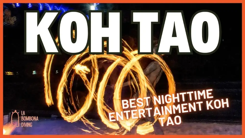 Koh Tao nightlife — a beach bar on Sairee Beach lit up after dark with people gathered on the sand