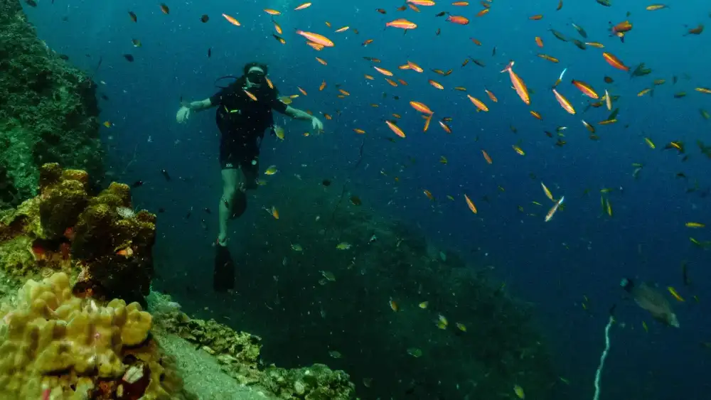 A beginner diver hovering over the reef in Koh Tao, watched by an instructor in clear blue water