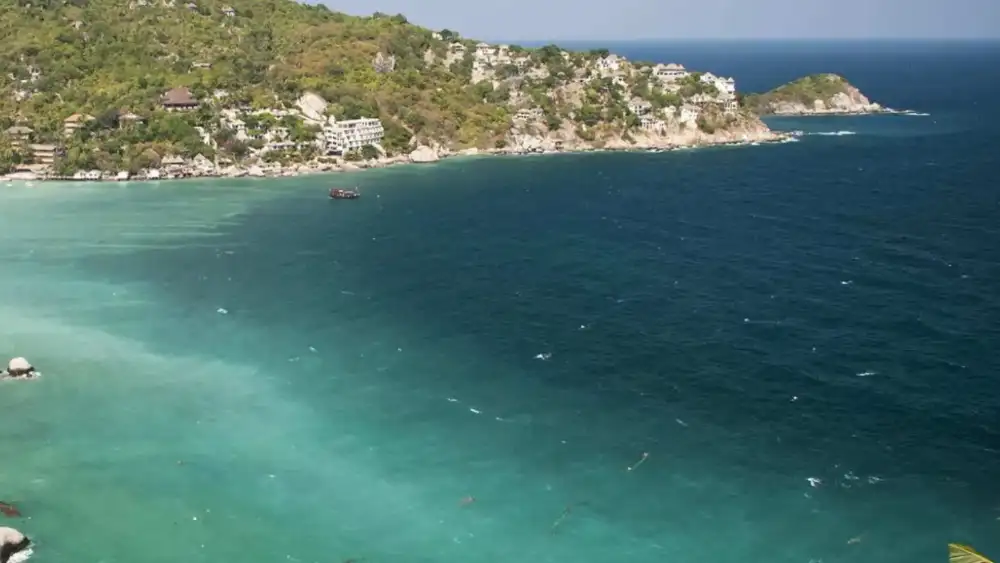 Shark Bay (Thian Og Bay) in the south of Koh Tao, a shallow sandy bay with seagrass and reef patches where blacktip reef sharks and turtles are seen