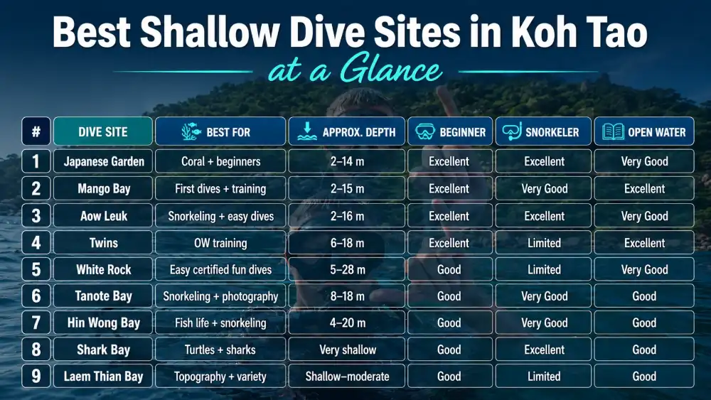 Infographic: the nine best shallow dive sites in Koh Tao at a glance, with what each is best for, approximate depth and suitability for beginners, snorkelers and Open Water divers