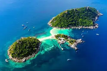 Shallow coral reef at Japanese Garden, Koh Nang Yuan, with hard corals in clear sunlit water