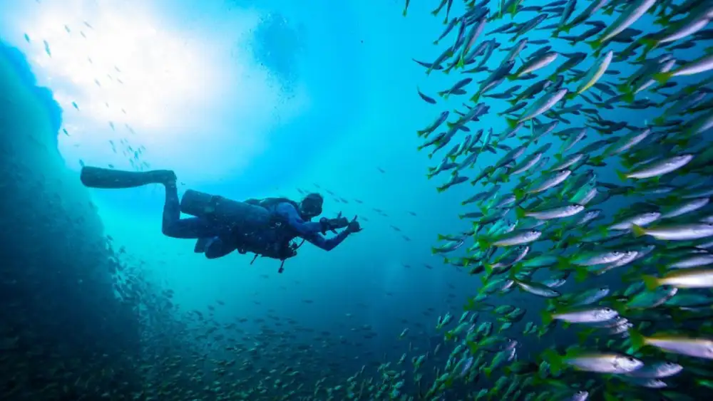 A sidemount instructor working with a student on tank positioning and trim during a training dive off Koh Tao