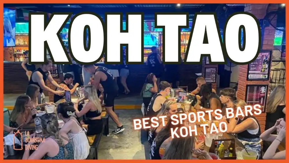 Koh Tao best sports bars title card over a packed bar with people at long tables under big screens