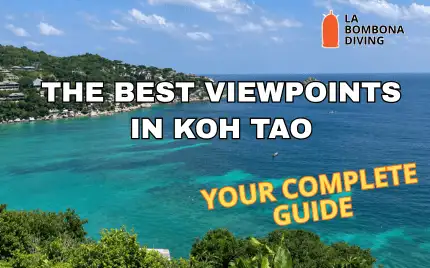 Koh Tao's twin bays seen from the rocky summit of John Suwan viewpoint, with turquoise water on both sides