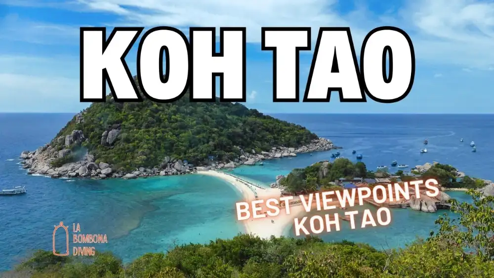 Aerial view of Koh Nang Yuan's white sandbar joining three green islets in turquoise water, with the words "Koh Tao — Best Viewpoints Koh Tao" overlaid