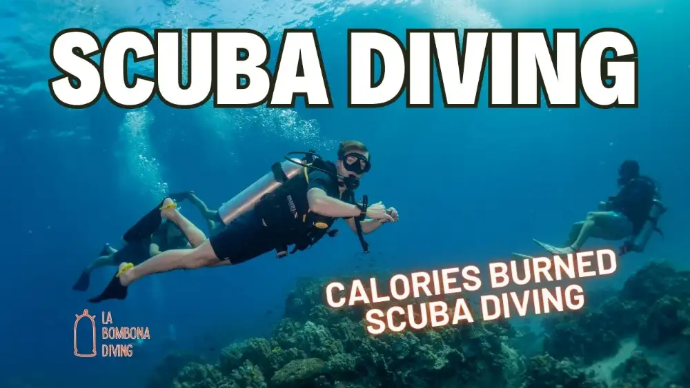 Two scuba divers swimming over the reef in clear blue water at Koh Tao, with the caption "Calories burned scuba diving"