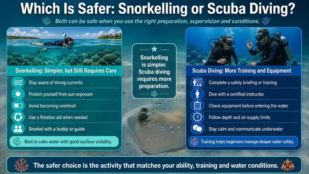 Illustrated graphic: which is safer, snorkelling or scuba diving?