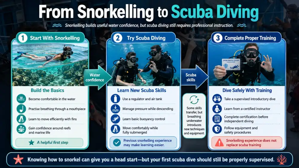 Illustrated graphic: can you scuba dive if you know how to snorkel?