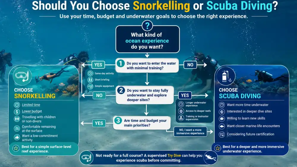 Illustrated graphic: when should you choose snorkelling instead of scuba diving?
