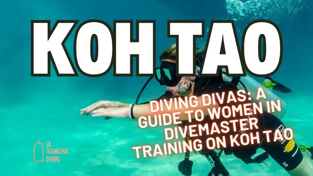 A female divemaster candidate in full scuba gear on a dive boat off Koh Tao, ready to lead a group into the water