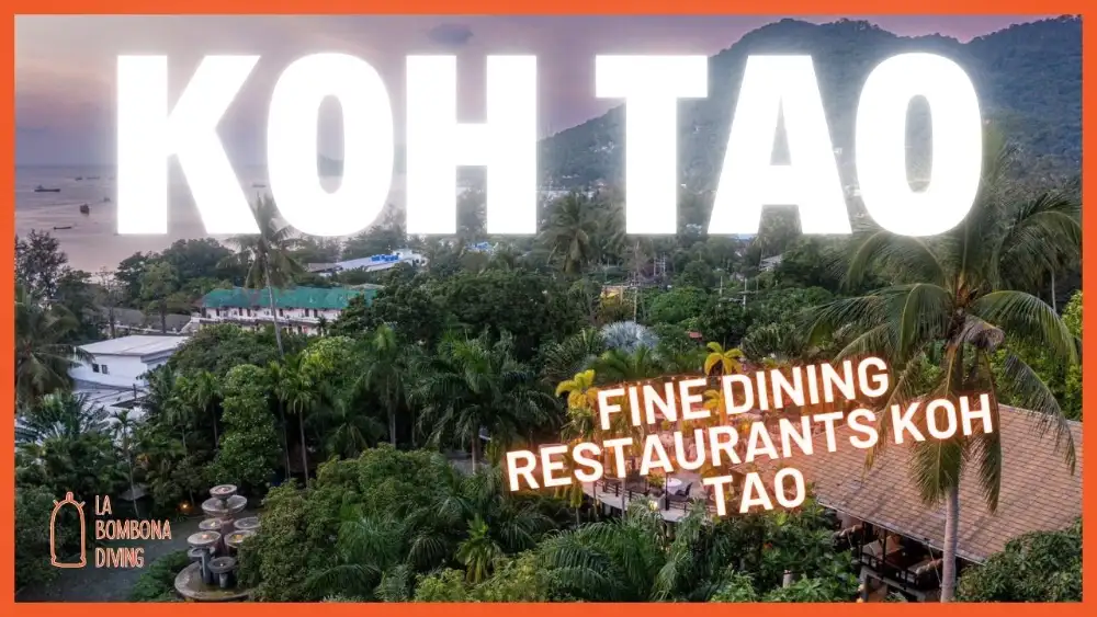 A beautifully plated fine dining dish on a candlelit table with the Koh Tao sea and sunset in the background