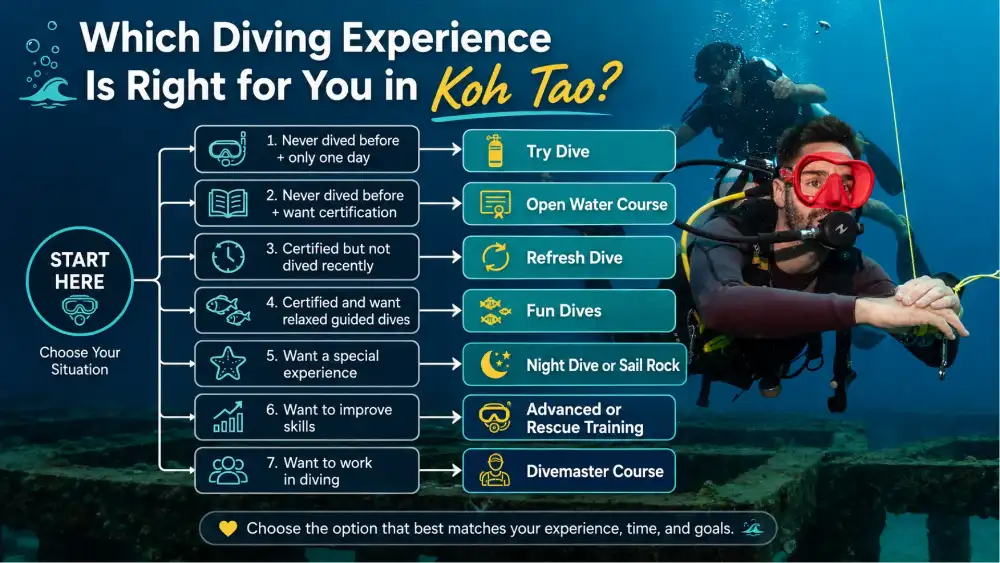 Infographic: a decision table matching your situation — first-timer, certified, rusty, career-minded — to the right diving option in Koh Tao