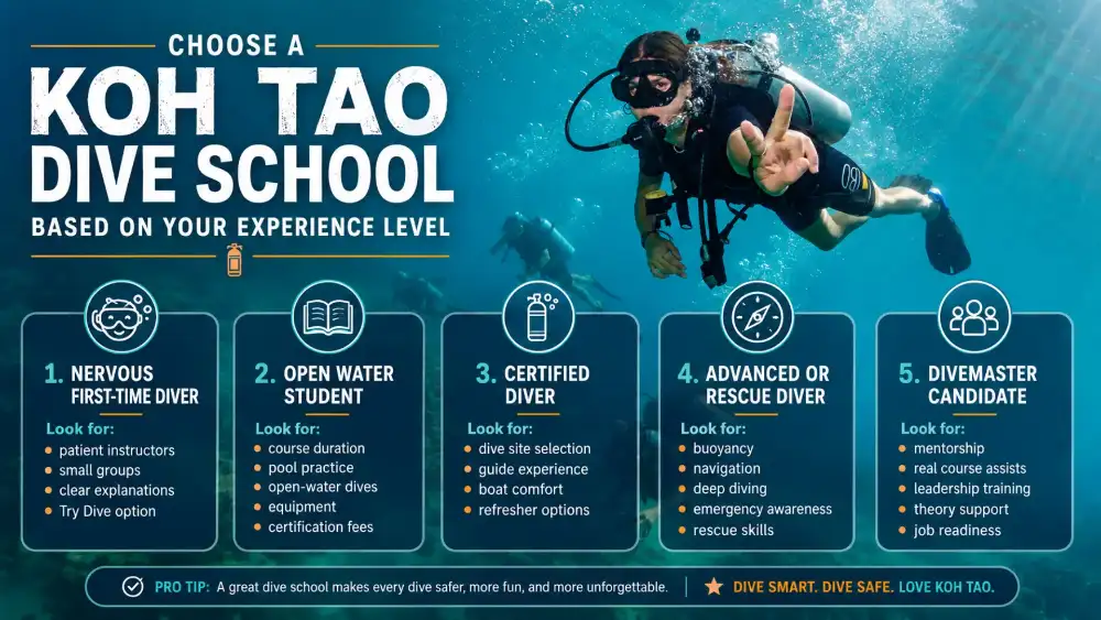 Infographic: how to choose a Koh Tao dive school according to your experience level, from nervous first-timer to Divemaster candidate