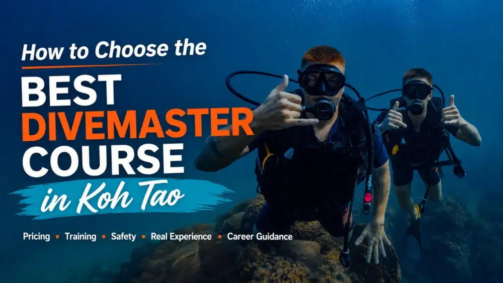 Divemaster trainee and instructor on a dive boat off Koh Tao, preparing equipment before a training dive