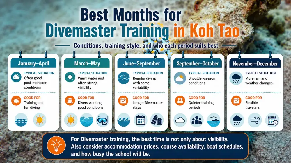 Infographic: best months for Divemaster training in Koh Tao