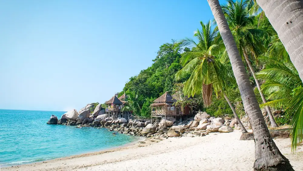 Scenic view over Koh Tao's coastline, with jungle-covered hills meeting clear turquoise water