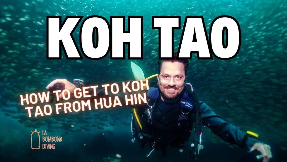 A smiling scuba diver surrounded by a huge school of fish in green water off Koh Tao, with the caption "Koh Tao — How to get to Koh Tao from Hua Hin"