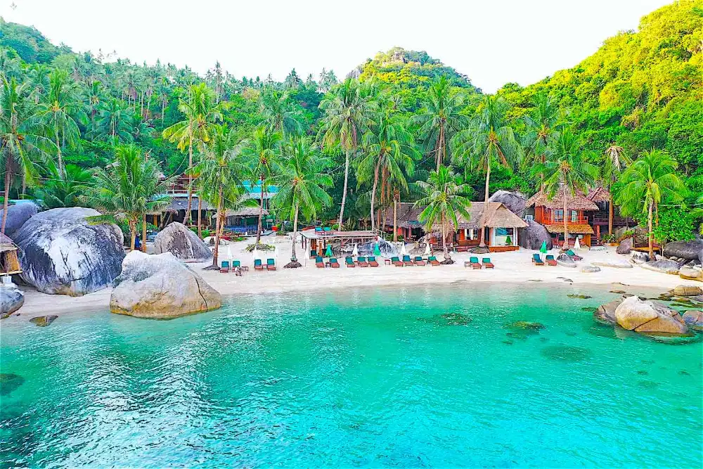 Beachfront resort bungalows under palm trees on Koh Tao, Thailand