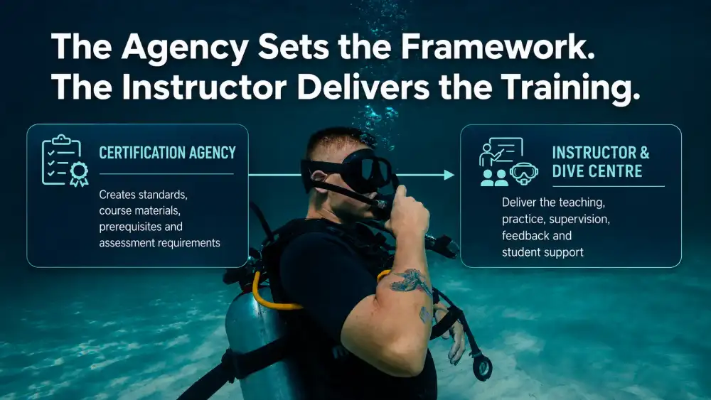 Illustration explaining what a scuba certification agency is and how it sets standards for instructors and dive centres
