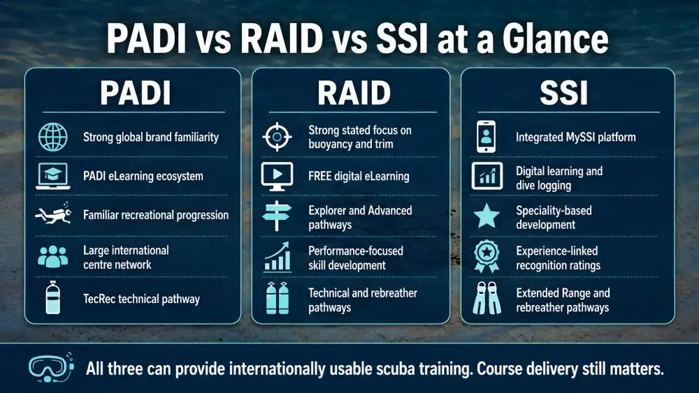 Infographic: quick comparison of the PADI, RAID and SSI scuba certification systems