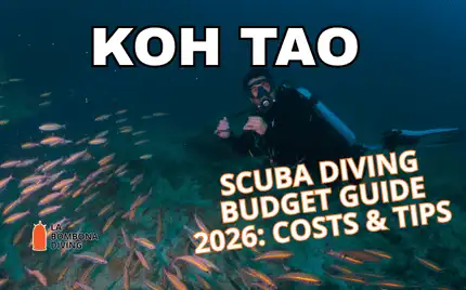 A diver hovering over a coral reef in the blue water of Koh Tao