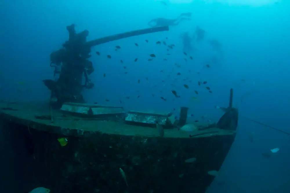 Reef fish sheltering among the coral growing on an artificial reef structure in Koh Tao