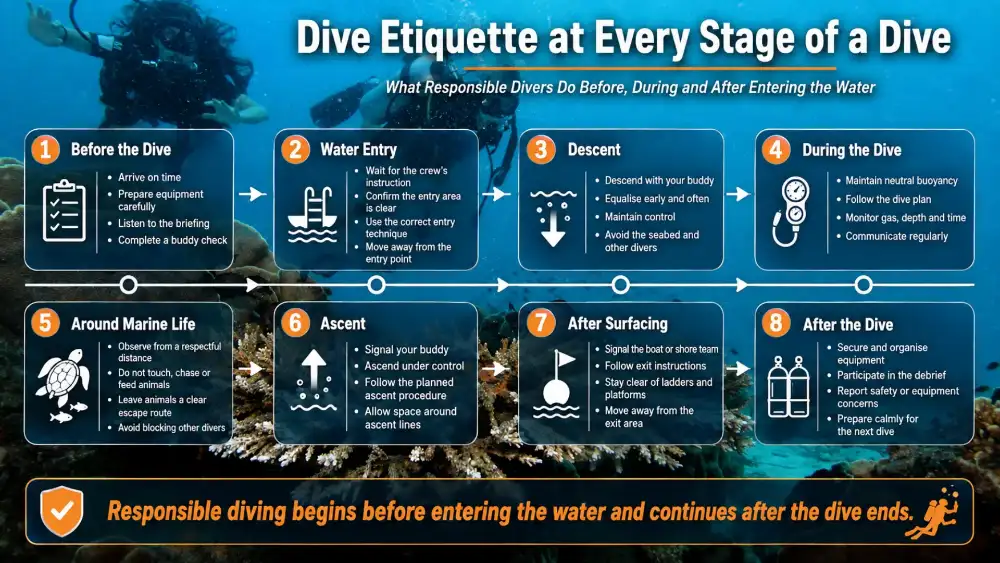 Infographic: dive etiquette at every stage of a dive — before the dive, water entry, descent, during the dive, around marine life, ascent, surfacing and after the dive