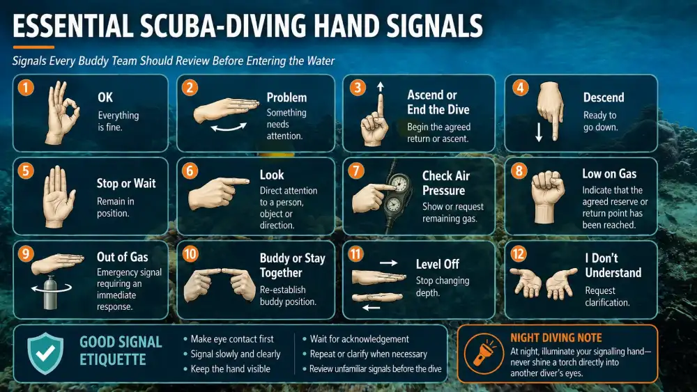Infographic: essential scuba diving hand signals — OK, problem, ascend, descend, stop, look, air pressure, low on gas, out of gas, stay together, level off and I don't understand