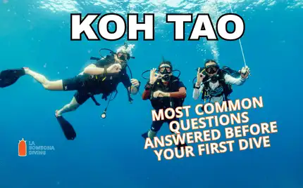 A first-time diver in full scuba gear at the surface with an instructor beside them, ready to descend in the clear water off Koh Tao
