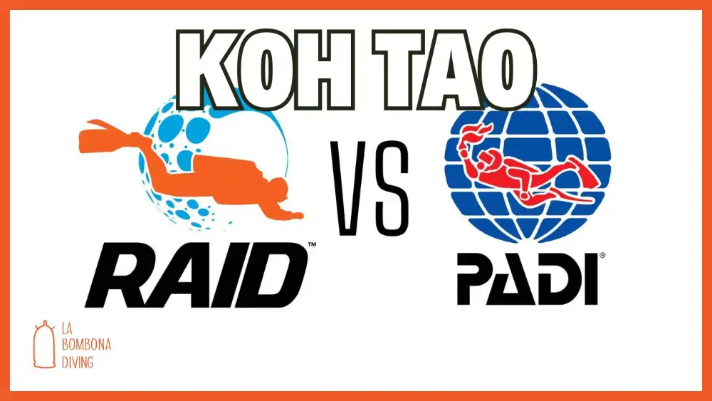 Koh Tao title card showing the RAID and PADI logos side by side with "VS" between them