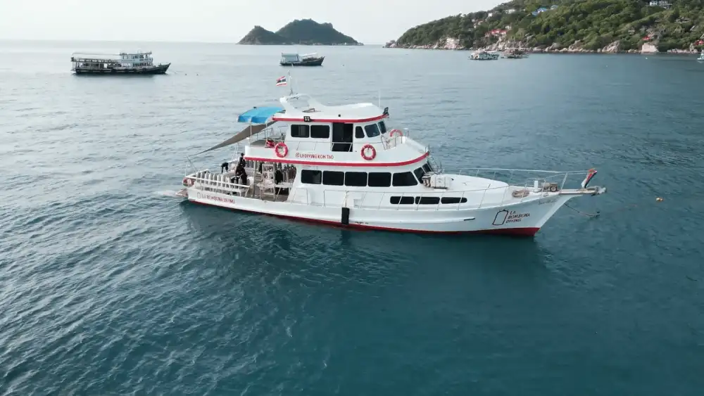 A white and red dive boat moored in calm blue water off Koh Tao, with the island's green hills and other boats in the background