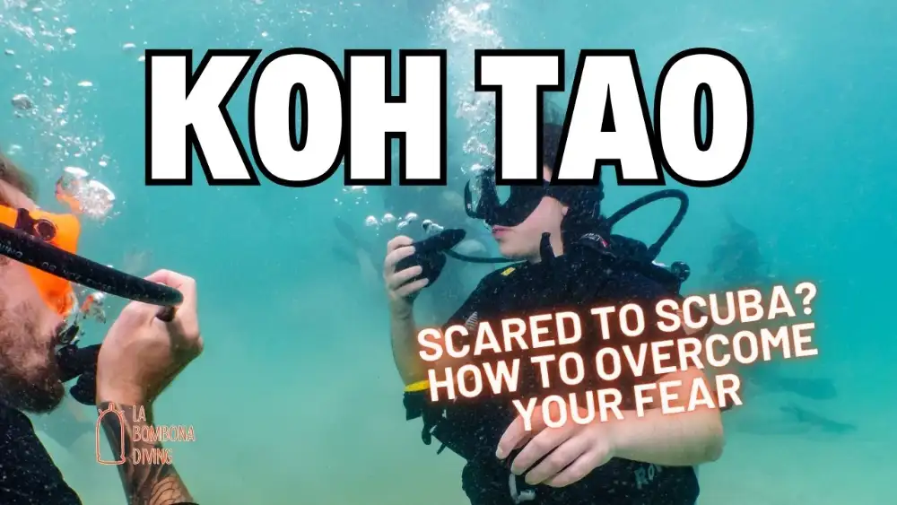 A nervous beginner diver at the surface with an instructor beside them, mask on, in the calm water off Koh Tao