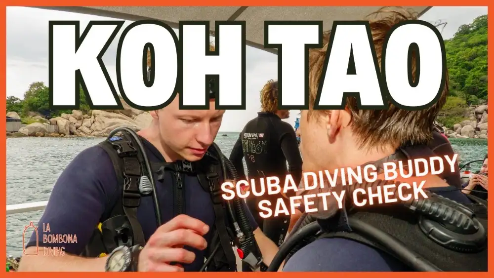 Two scuba divers in full kit on a dive boat checking each other's equipment before entering the water