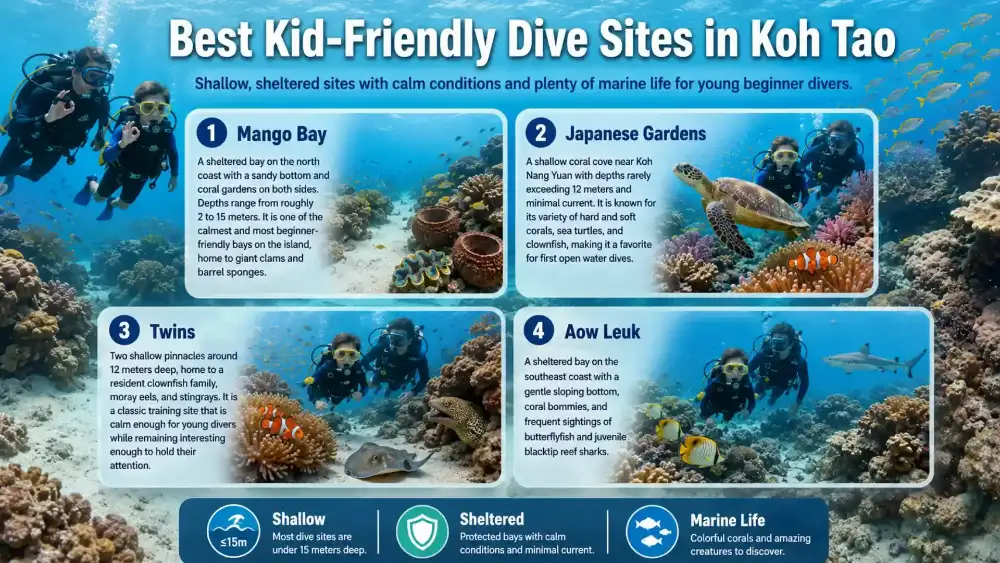 Infographic: the best kid-friendly dive sites in Koh Tao — Mango Bay, Japanese Gardens, Twins and Aow Leuk