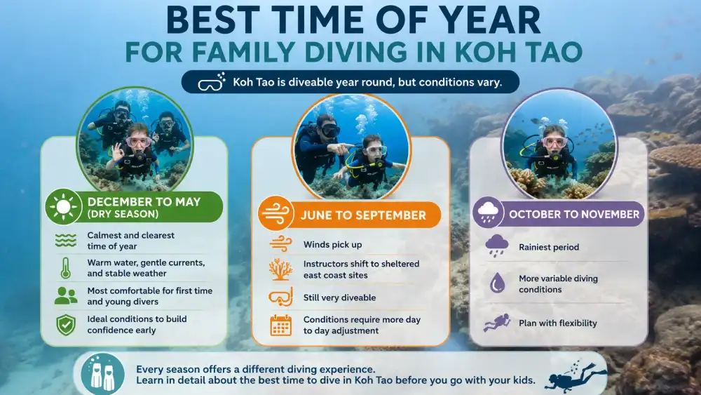 Infographic: the best time of year for family diving in Koh Tao, season by season