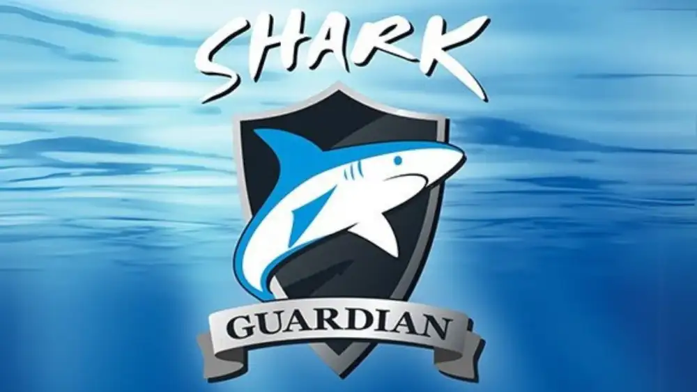 Participants swimming in open water during the Swim For Sharks conservation event off Koh Tao