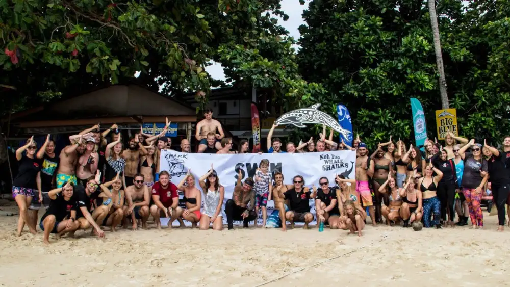 Marine conservation efforts and shark protection in the waters around Koh Tao