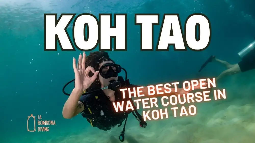 Open Water students descending along a line in clear blue water off Koh Tao with their instructor